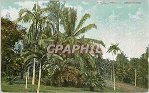 Carte Postale Ancienne Singapore Botanical Gardens