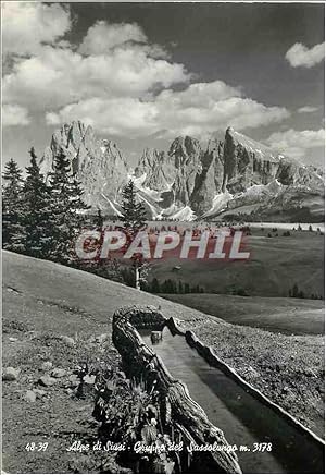 Carte Postale Moderne Alpe di Siusi Gruppe del sassolungo m 3178