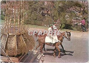 Carte Postale Moderne Rabat Garde a cheval de la Tour Hassan