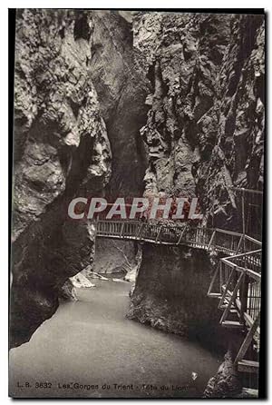 Italie - Italy - trento - trient - Les Gorges du Trient - Tete du Lion - pont en bois - Carte Pos...