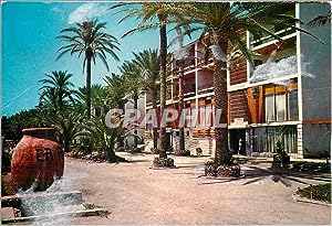 Carte Postale Moderne Torremolinos Costa del Sol les rues et Leurs Palmiers