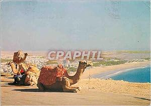 Carte Postale Moderne Agadir vue panoramique