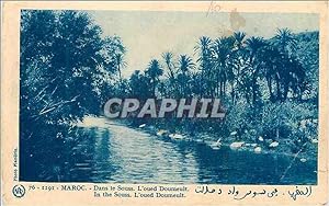 Carte Postale Ancienne Maroc Dans les Souss L'oued Doumeult