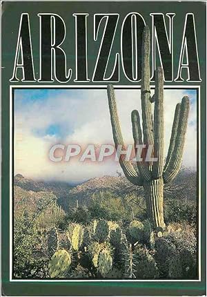 Carte Postale Moderne Saguaro Cactus Arizona Desert