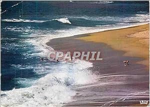 Carte Postale Moderne La mer cote sableuse