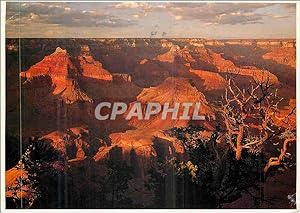 Carte Postale Moderne Grand Canyon National Park Arizona the Grand Canyons Broad Expance Viewed i...