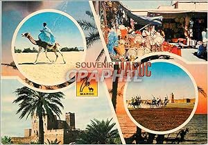 Carte Postale Moderne Souvenir du Maroc Chamelier