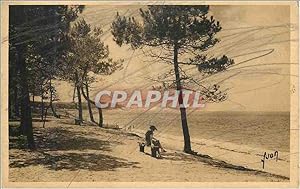 Carte Postale Ancienne Pyla sur Mer Gironde vue sur la Grande dune