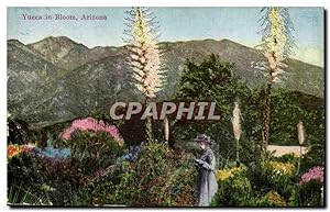 Arizona-Etas-Unis- Yucca in Bloom Carte Postale Ancienne