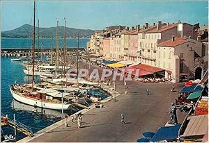 Carte Postale Moderne La Cote des Maures Saint Tropez (Var)