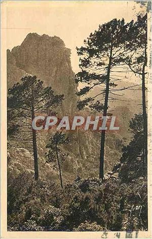 Carte Postale Ancienne Piana Corse
