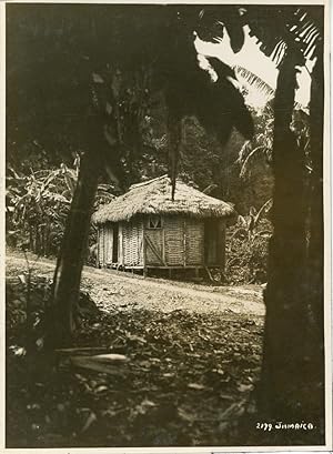 Jamaica, Native Hut