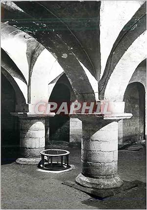 Carte Postale Moderne Winchester Cathedral the Crypt