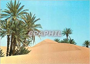 Carte Postale Moderne Maroc Pittoresque Oasis dans le Sud