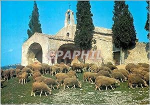 Carte Postale Moderne Les Belles Images de Provence Moutons devant la Chapelle St Sixte a Eygalie...