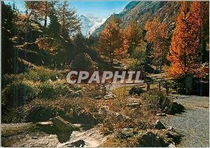 Carte Postale Moderne Valle d'Aosta Cogne Valnontey Jardin Botanique