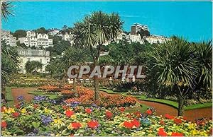 Carte Postale Moderne Abbey Gardens Torquay