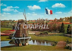 Carte Postale Moderne Holland Land of Flowers and Wind mille