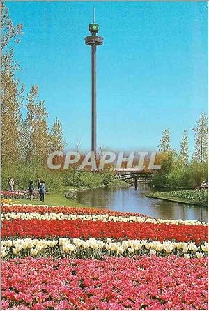 Carte Postale Moderne Floriade L'Exposition Horticole Internationale