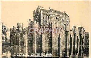 Carte Postale Ancienne Château des Comtes vu du Petit Gewad