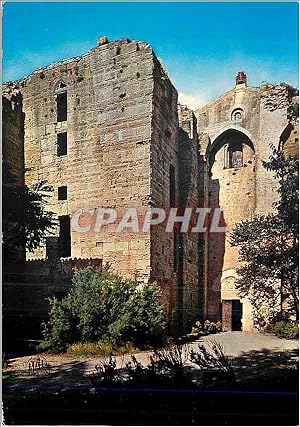 Carte Postale Moderne Palavas les Flots (Herault) Abbaye de Maguelonne