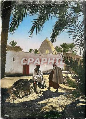 Carte Postale Moderne Sidi Lhassen Collection Artistique L'Afrique