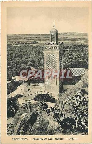 Carte Postale Ancienne Tlemcen Minaret de Sidi Haloui