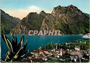 Carte Postale Moderne Torbole Lago di Garda Panorama