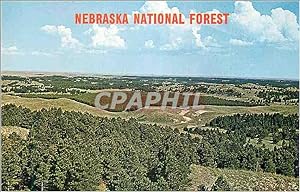 Carte Postale Ancienne Nebraska National Forest