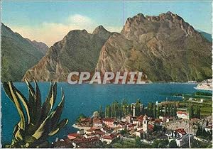 Carte Postale Moderne Torbole Lago di Garda Panorama