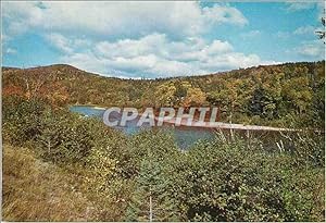 Carte Postale Moderne Margaree River Cape Breton