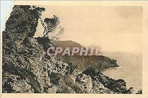 Carte Postale Ancienne Les îles d'Hyeres (Var) Cote d'Azur La Douce France Porquerolles vue sur l...