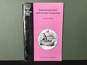 Industrialization and Gender Inequality (Essays on Global and Comparative History)