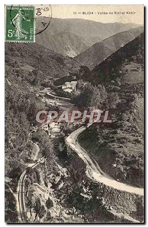 Algerie Carte Postale Ancienne Blida Vallée de Sidi el Kebir