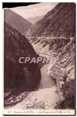 Algerie Carte Postale Ancienne Environs de Blida Gorges de la Chiffa