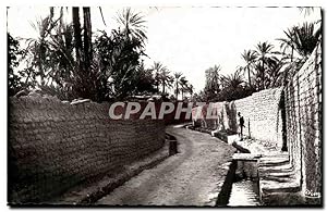Algerie Biskra Carte Postale Ancienne Une rue de Bab Darb