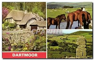 Grande Bretagne Carte Postale Moderne Dartmoor (cheval horse)