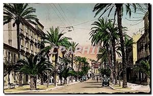Hyeres les Palmiers Carte Postale Ancienne Avenue Gambetta