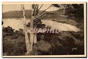 Carte Postale Ancienne Les îles d'Hyeres Porquerolles La grande plage