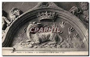 Carte Postale Ancienne Blois Le château La salamandre a la tete de chien Dog