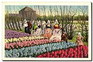 Carte Postale Ancienne Pays Bas Tulipes Fleurs dans les champs Folklore