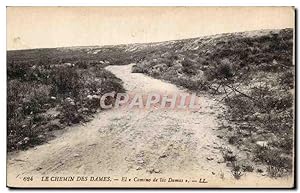 Le Chemin des Dames - El Camino de las Damas - Carte Postale Ancienne