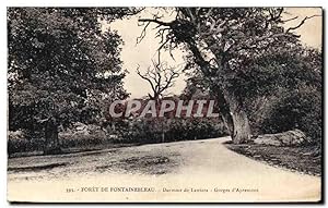 Carte Postale Ancienne Fontainebleau Dormoir de Lantara Gorges d'Apremont