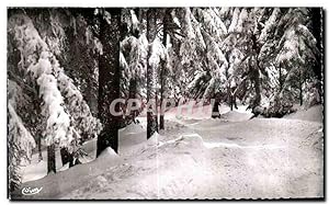 Carte Postale Ancienne Champagnac le Vieux Les bois de sapins en hiver