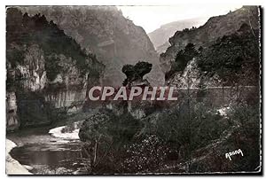 Carte Postale Ancienne Gorges du Tarn Le Champignon
