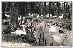 Carte Postale Ancienne Lyon Au Parc Le Refuge des Cygnes swan