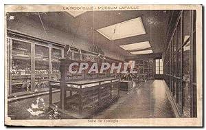 Carte Postale Ancienne La Rochelle Museum Lafaille Salle de zooloie