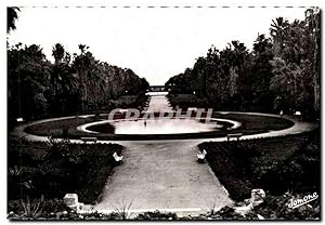 Carte Postale Ancienne Alger jardin d'Essai