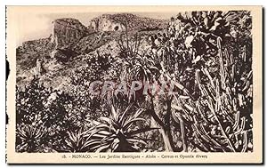 Carte Postale Ancienne Monaco Les Jardins Exotiques Aloes Cereus et opuntia divers