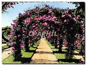 Carte Postale Ancienne Rosaire De L'Hay Les Roses Une allée